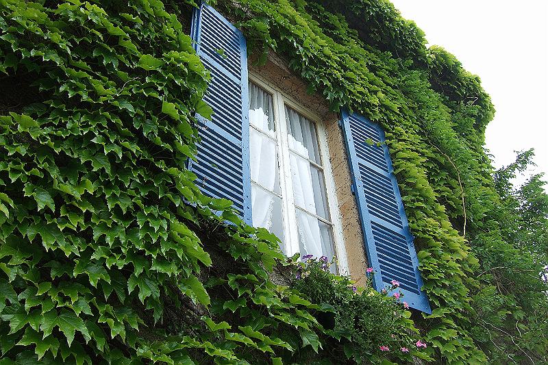 2010-06- (79).JPG